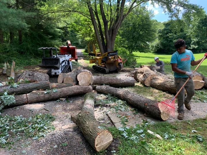 A man is moving a pile of logs in a yard.