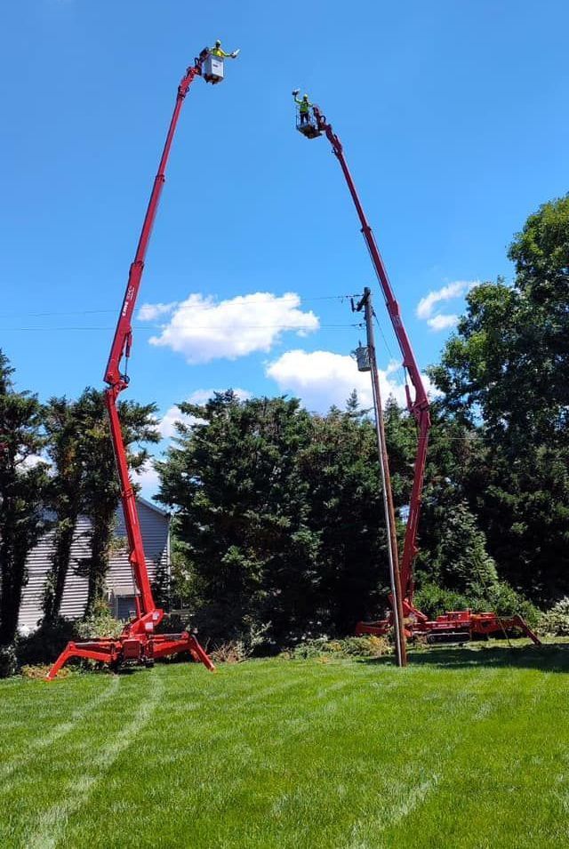 Two red cranes are sitting on top of a lush green field.