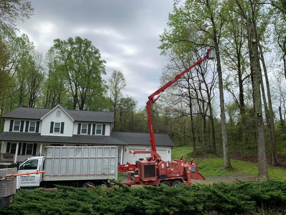 Man in bucket is cutting a tree in front of a house.