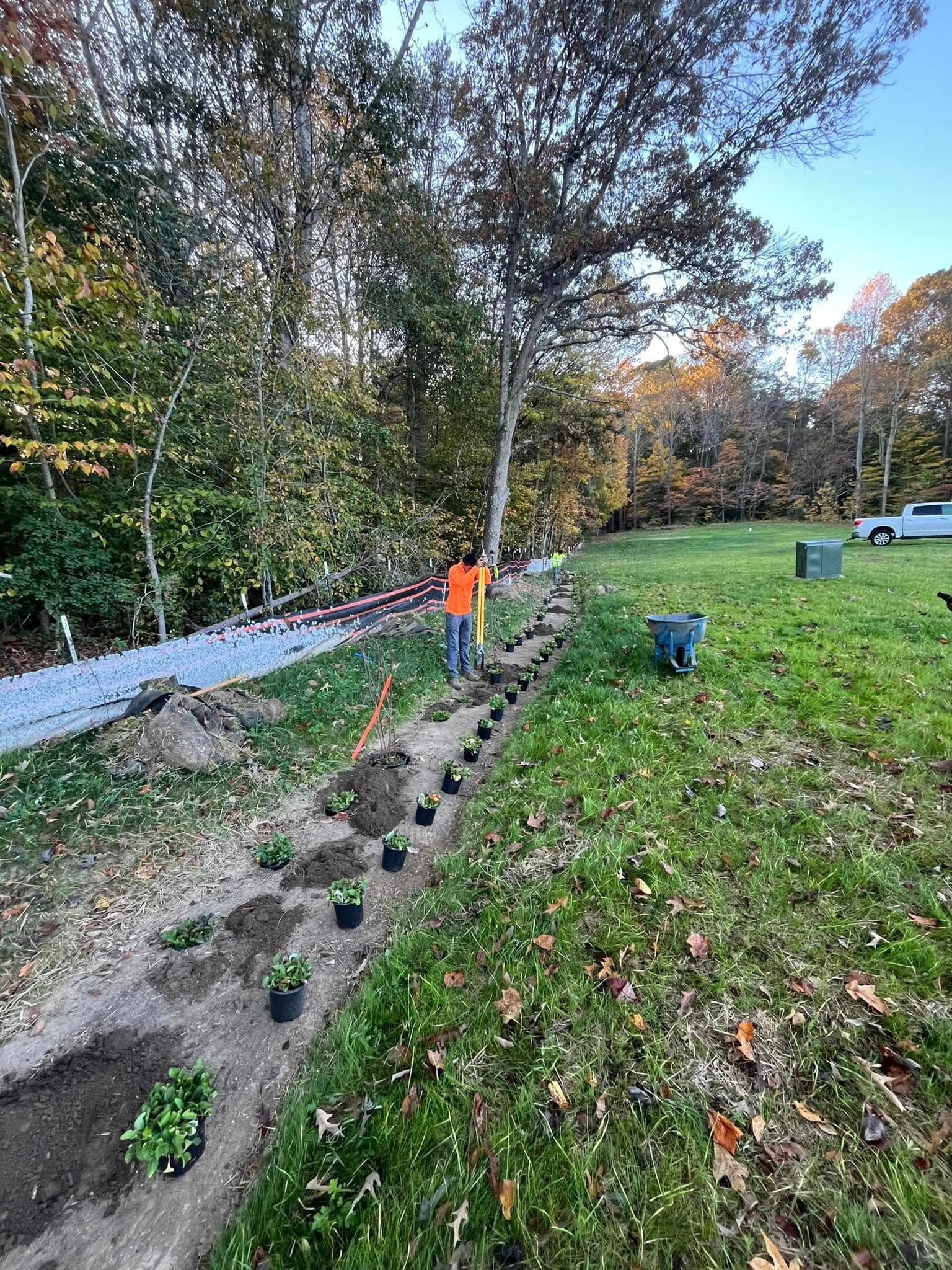 A man is standing in a field planting plants.