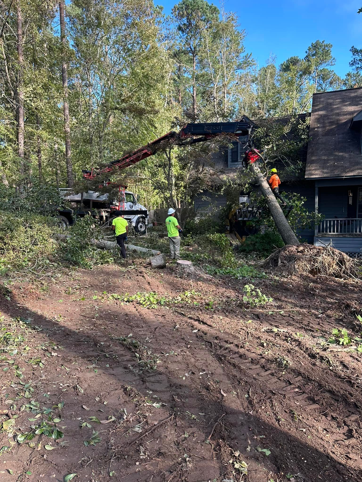 A crane is lifting a tree in front of a house.