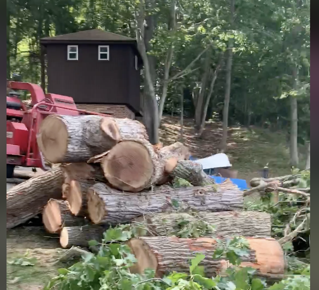 A pile of logs is sitting in front of a house in the woods.