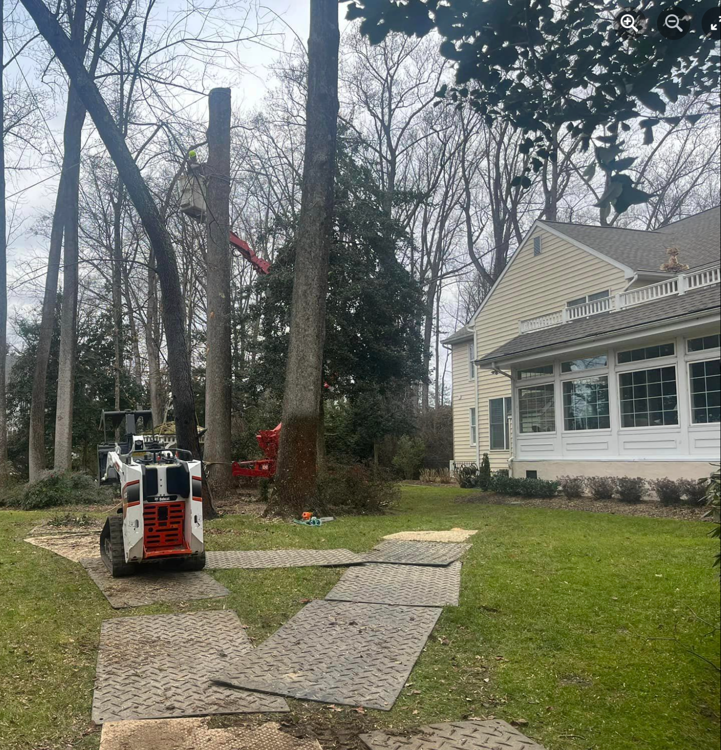 2 poplar trees were removed from the house and the gazebo