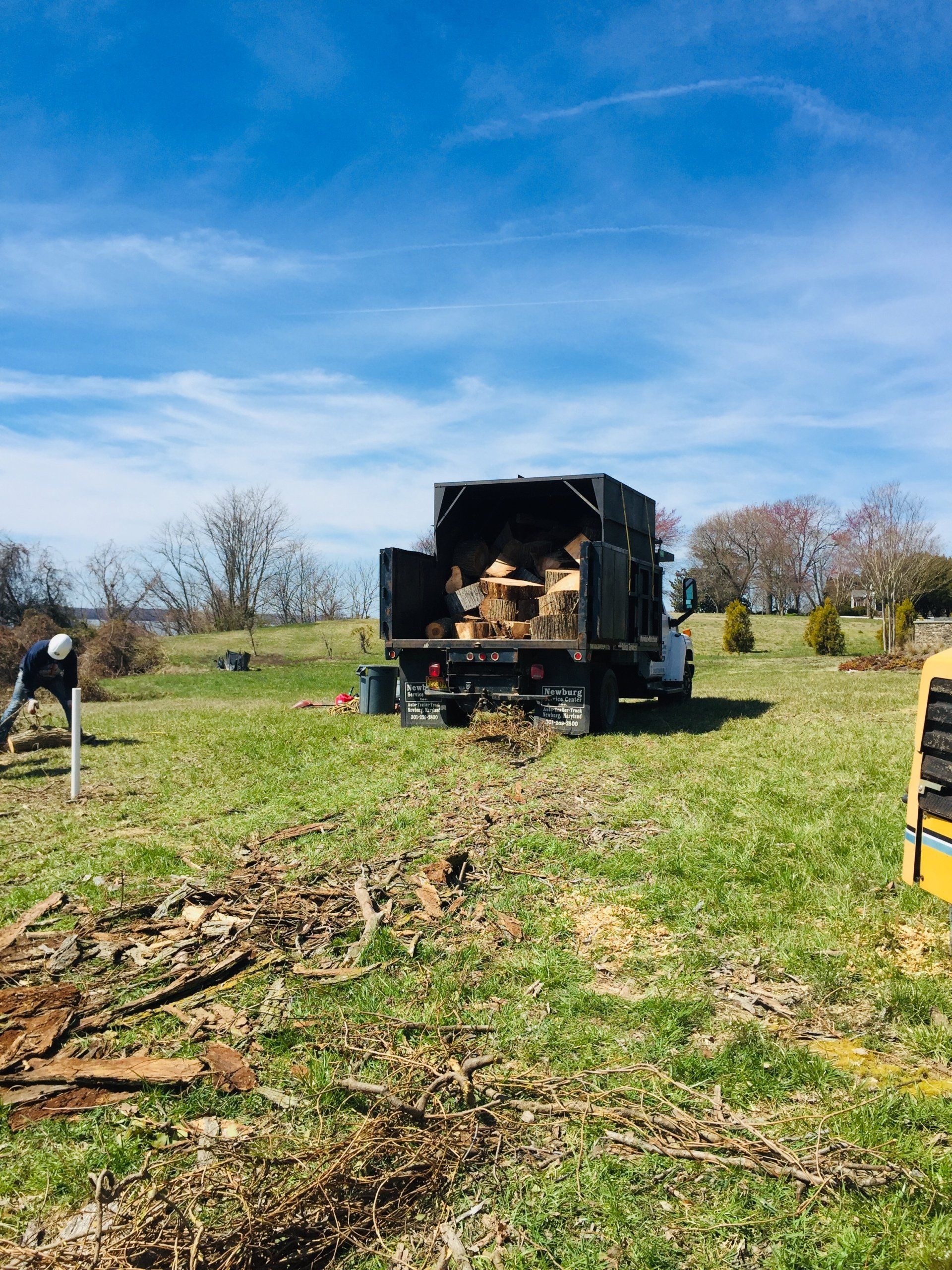 Tree removal in St. Leonard critical area