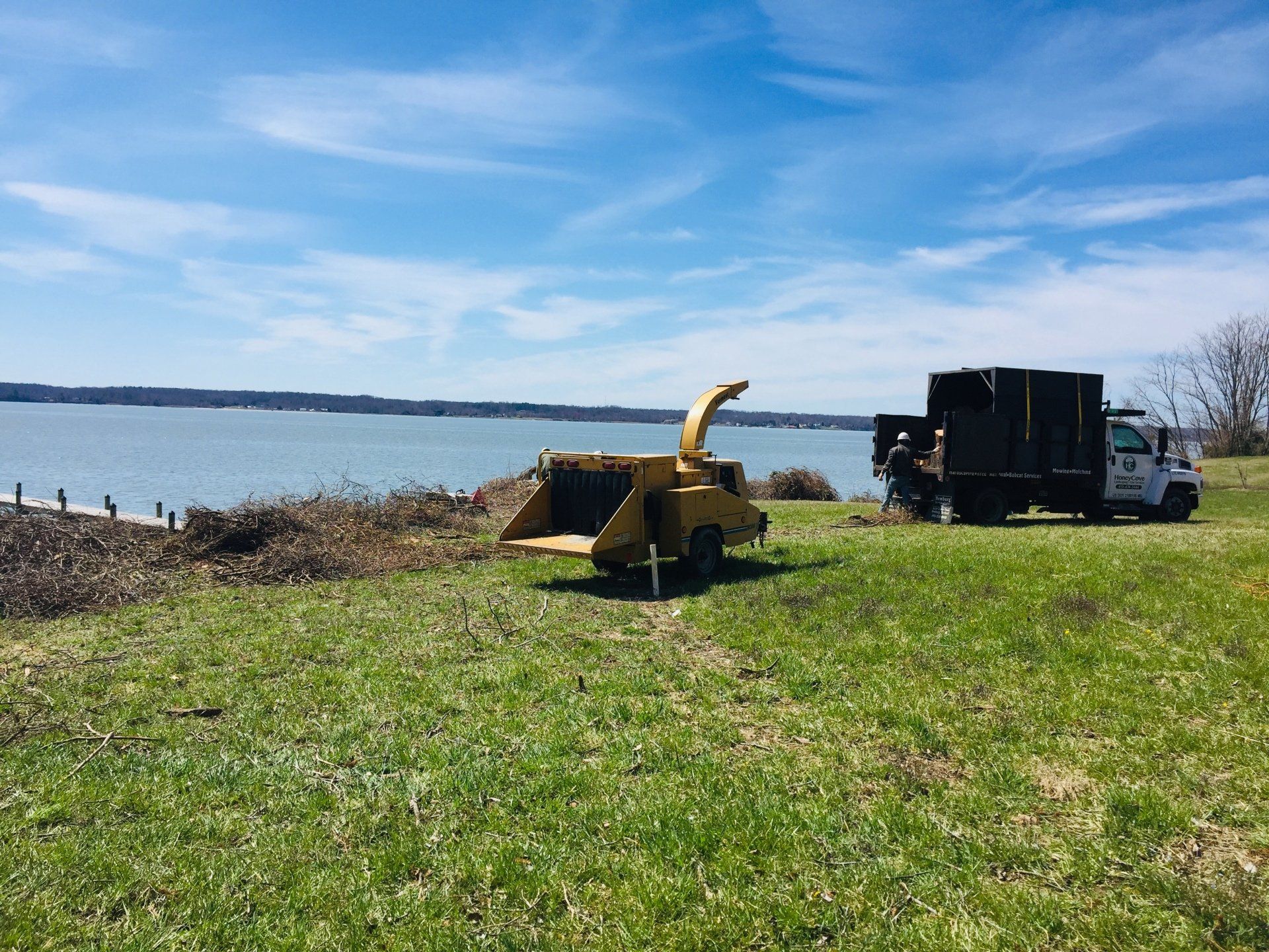 Tree removal in Calvert County critical area