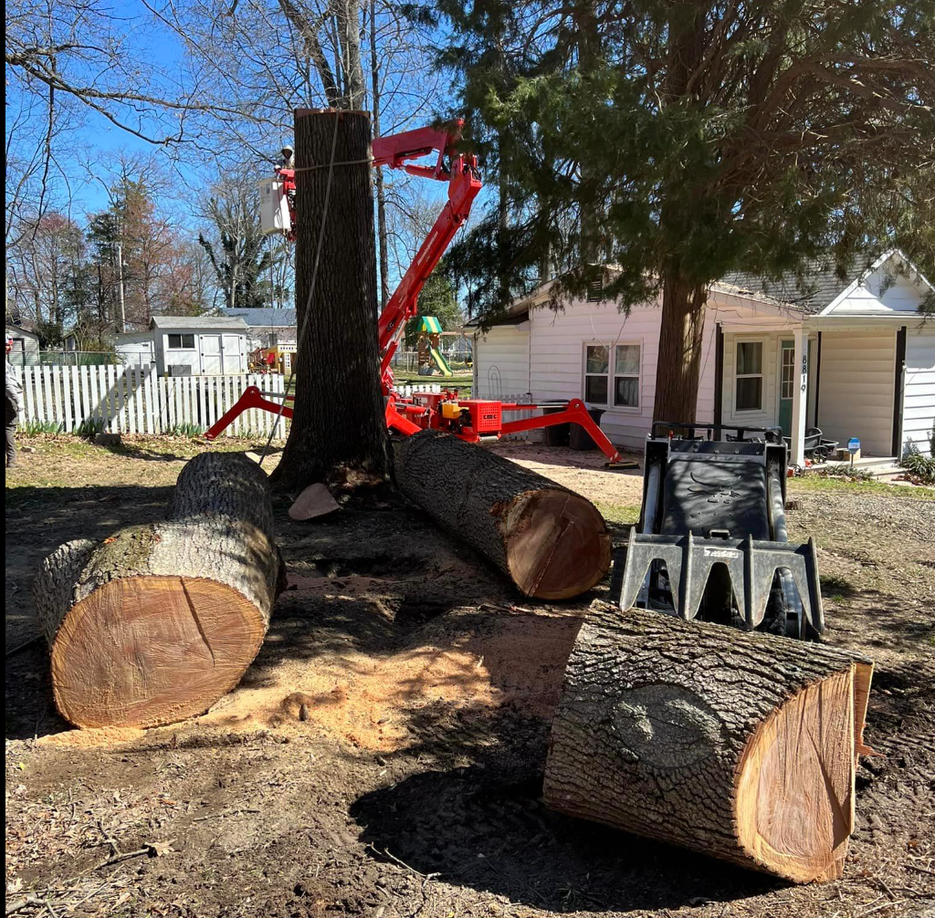 A pile of logs is sitting in front of a house.