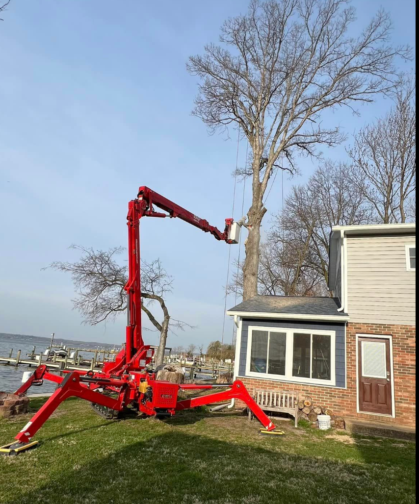 A red crane is cutting a tree in front of a house.