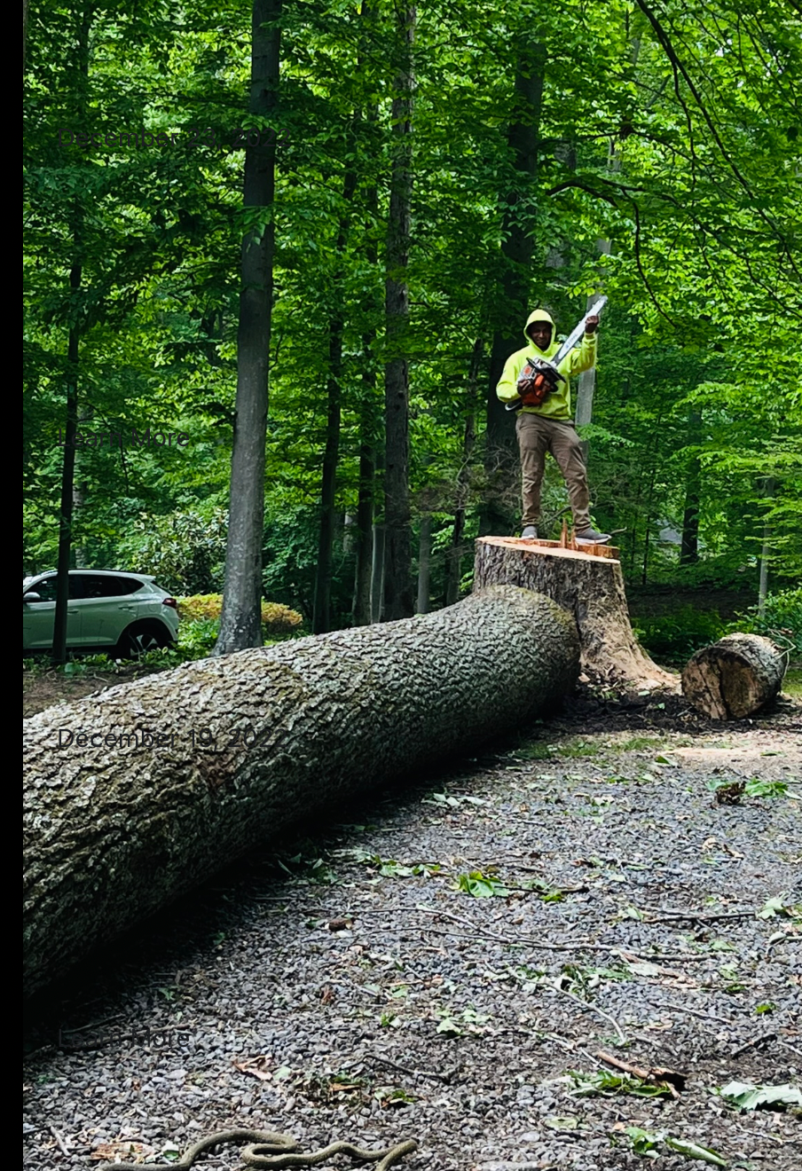 A man is standing on a stump with a chainsaw in the woods.
