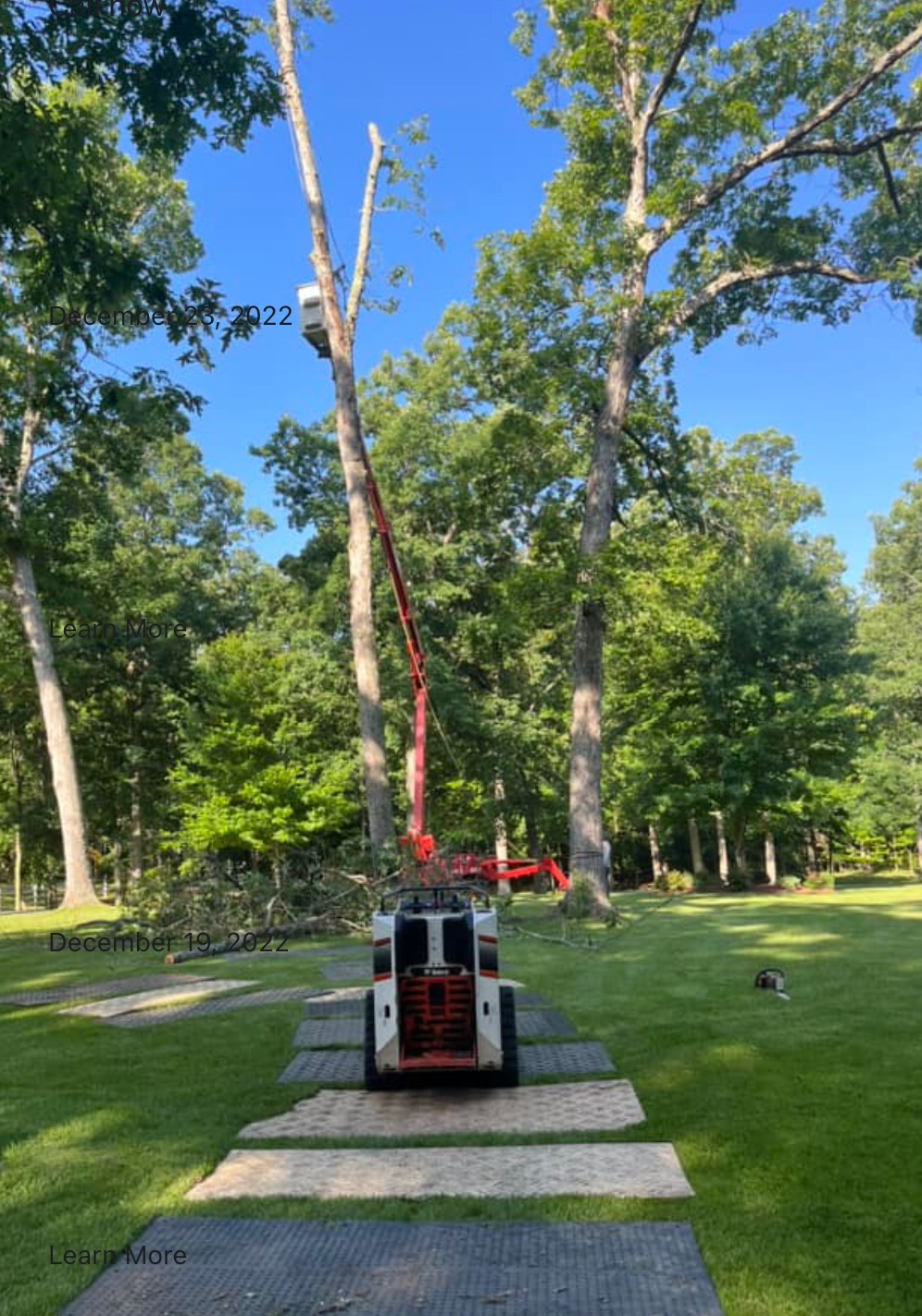 A crane is cutting down a tree.