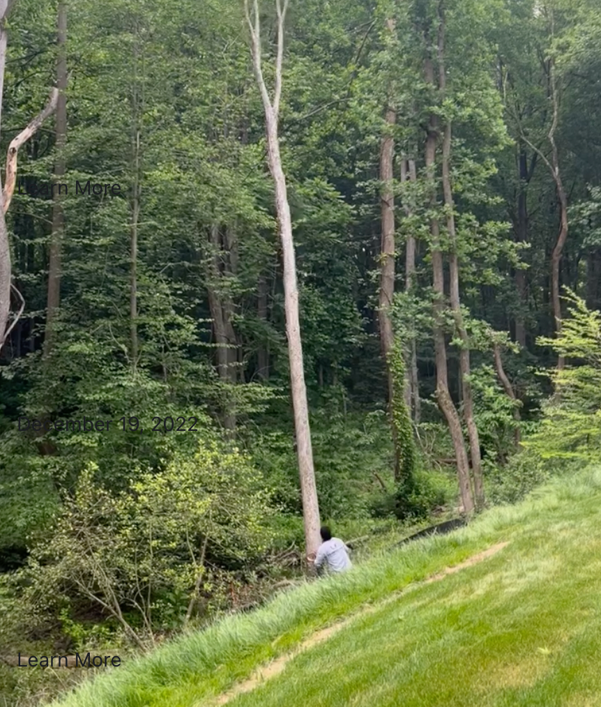 A person is sitting on a grassy hill in the middle of a forest.