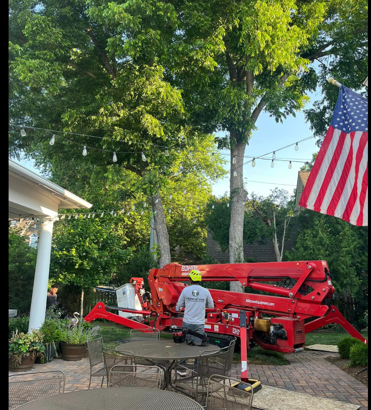 tree removal Solomons