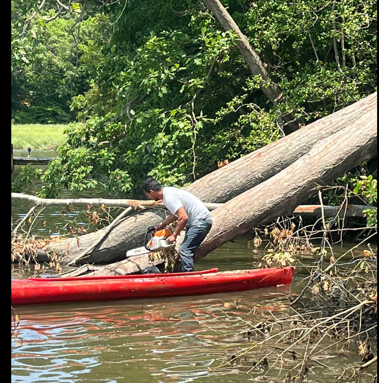 fallen tree removal, tree removal Southern Md