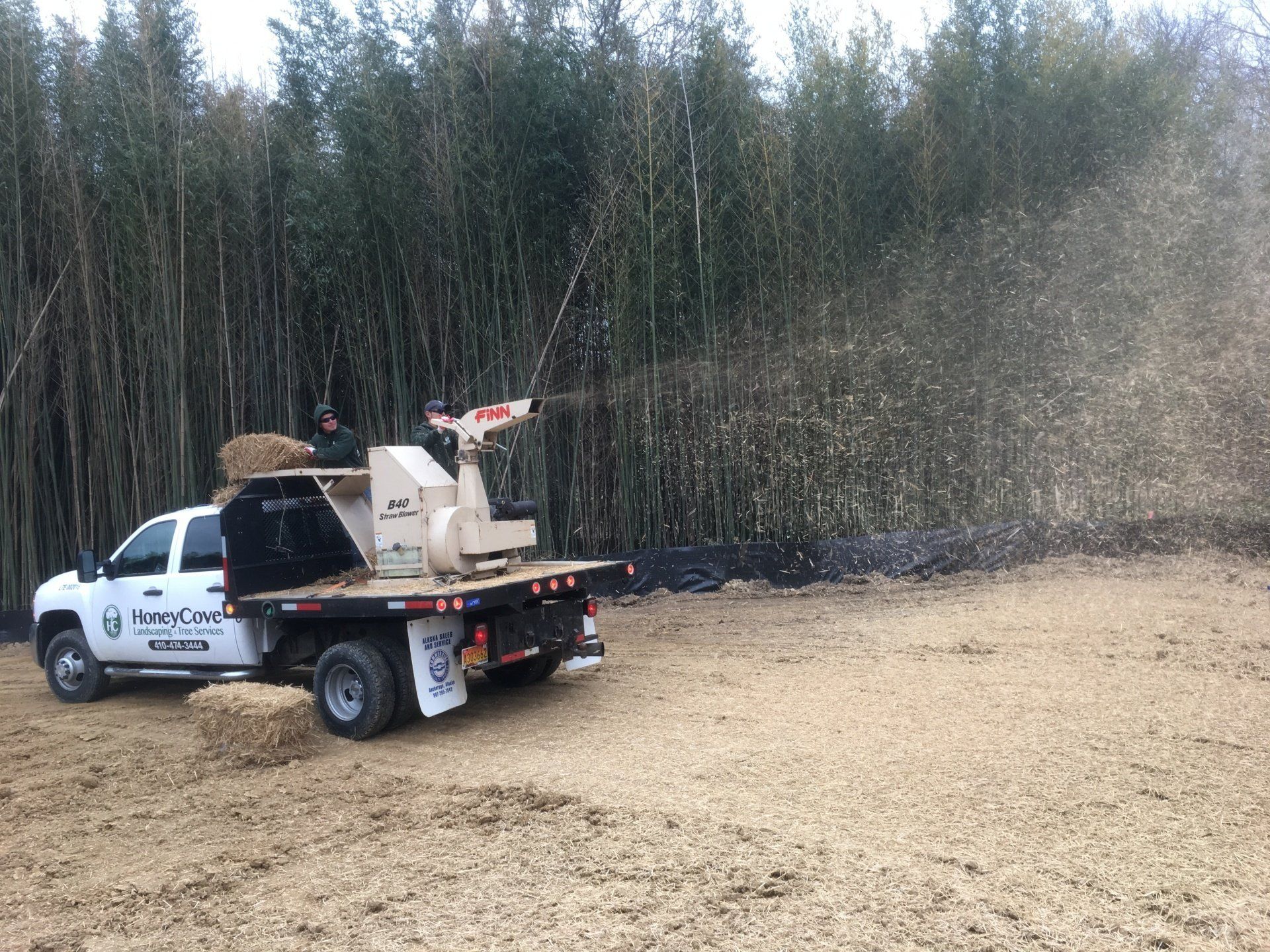 Honey Cove site maintenance-Southern MD