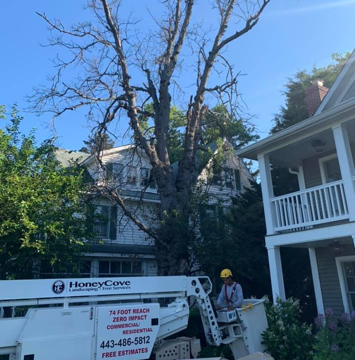 A Honey Cove truck is parked in front of a house