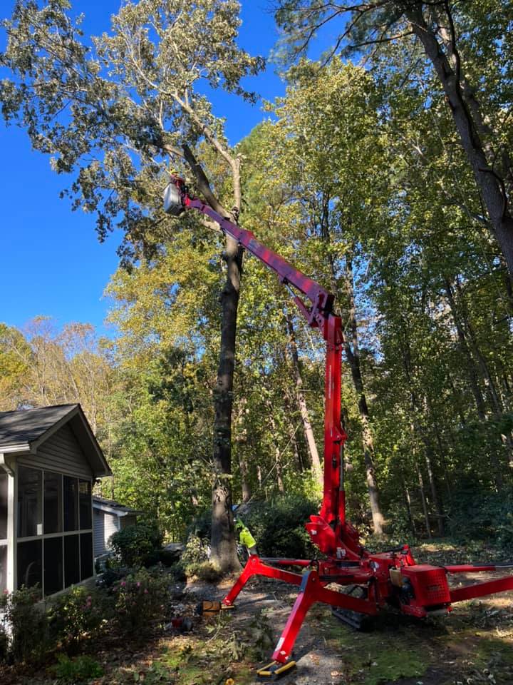 A red crane is cutting a tree in front of a house.