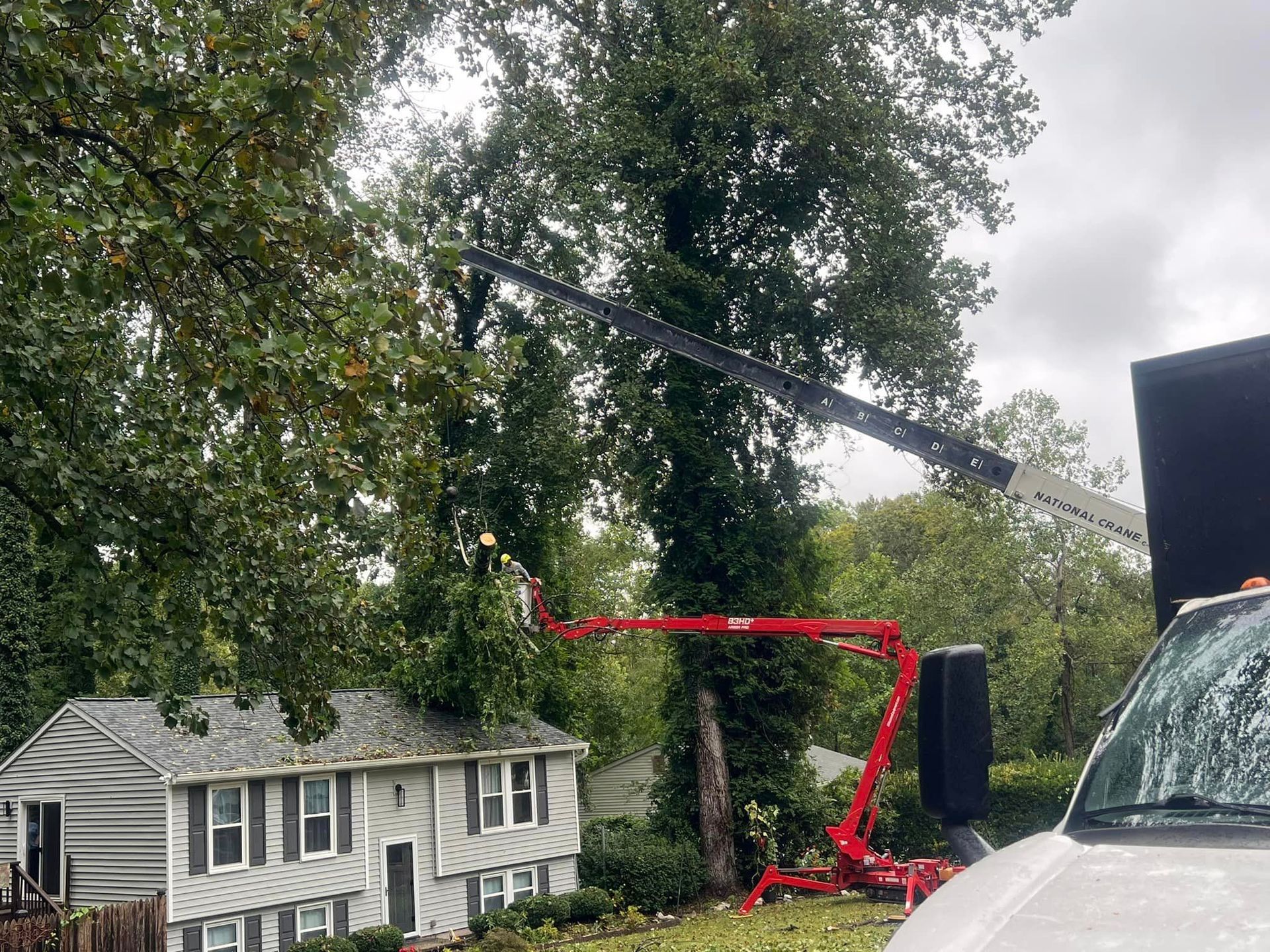A crane is cutting a tree in front of a house.