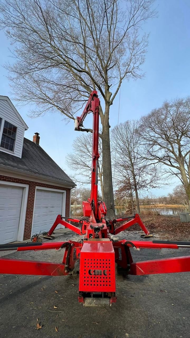 A red machine is cutting a tree in front of a garage.