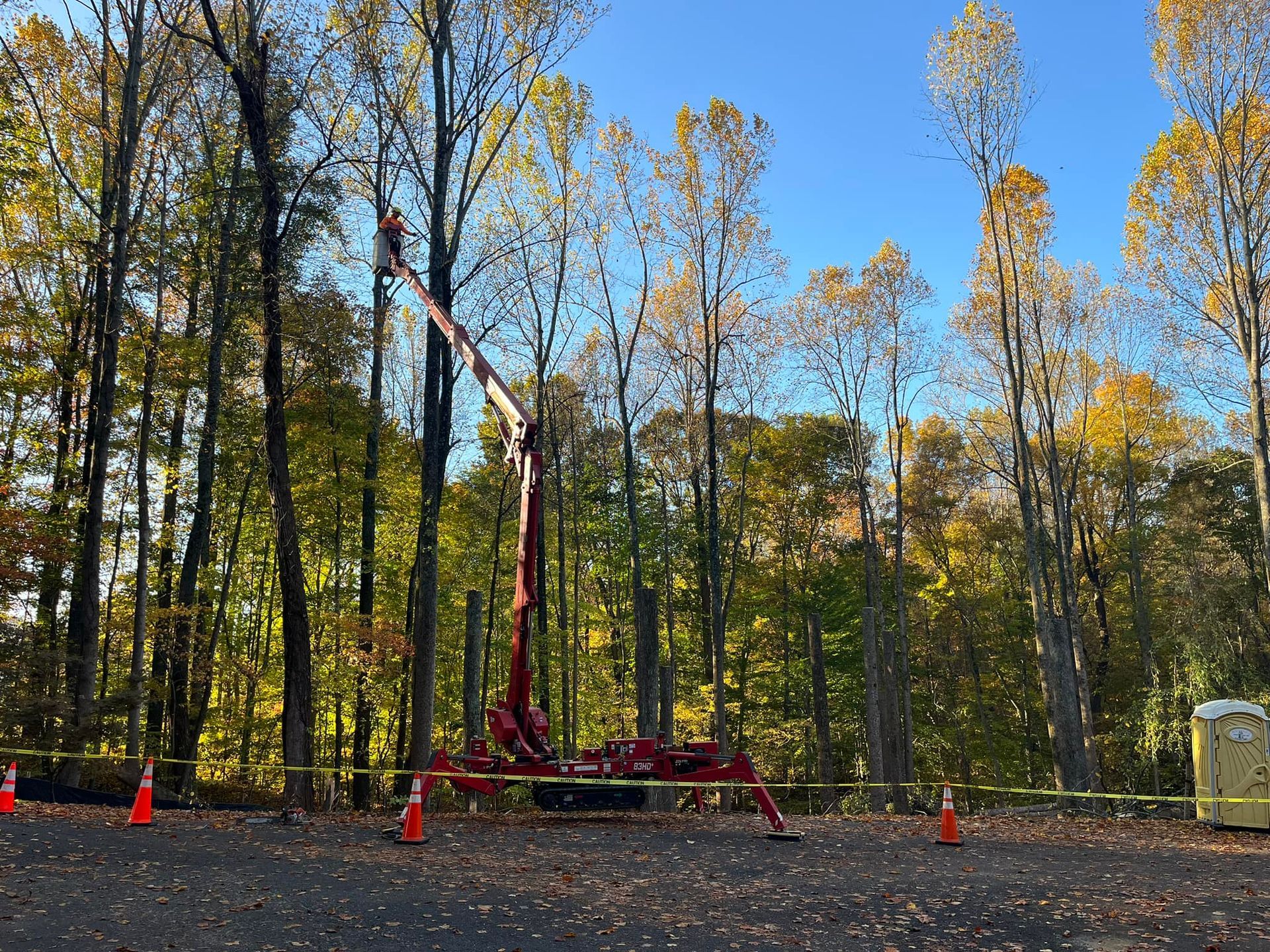 Man in a red bucket is cutting a tree in the woods.