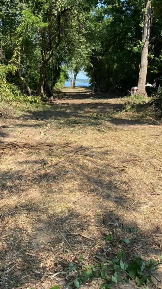 Clearing a waterfront view.