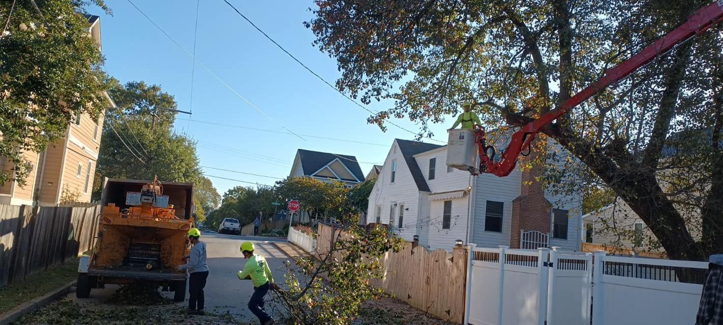 A man is cutting a tree in front of a house.