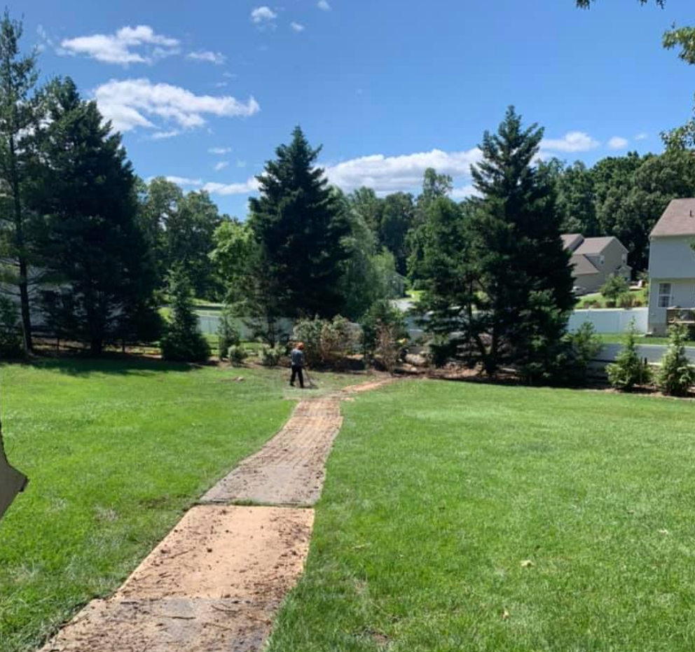 A person is walking down a path through a lush green field.
