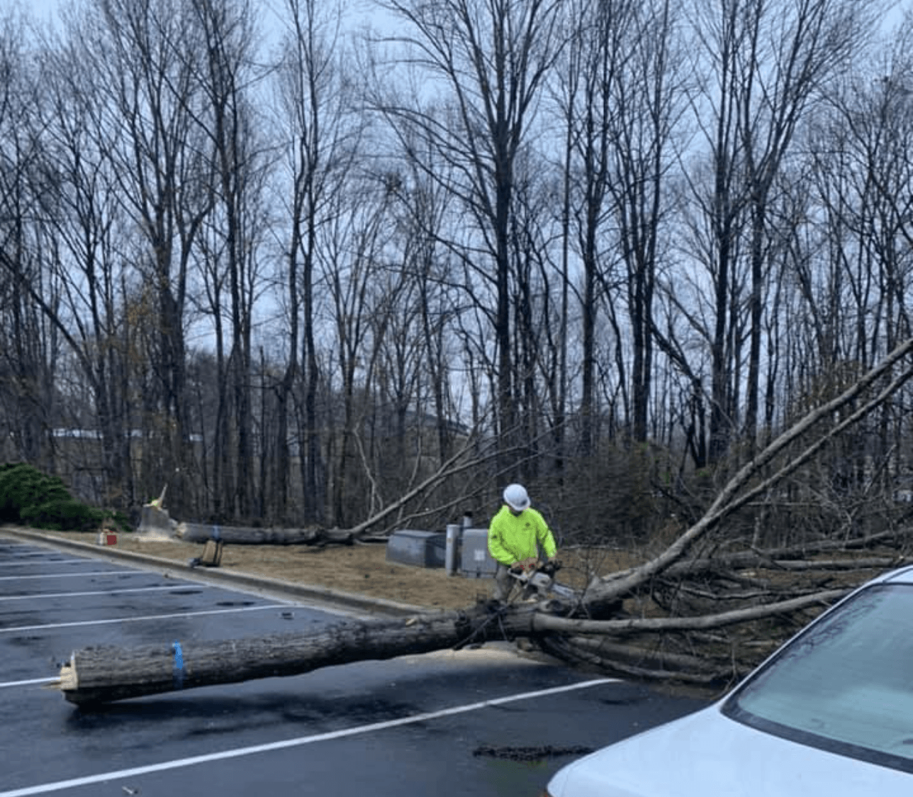 A man is cutting a tree that has fallen in a parking lot.