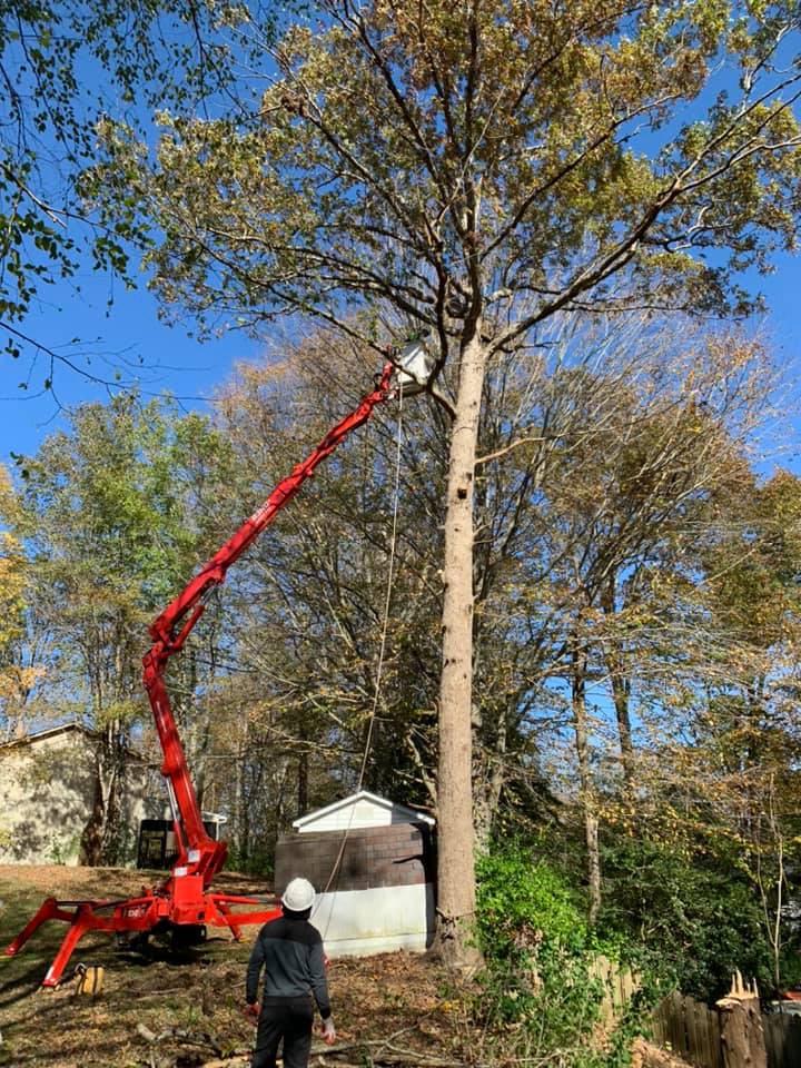 A man is standing next to a crane and cutting a tree.