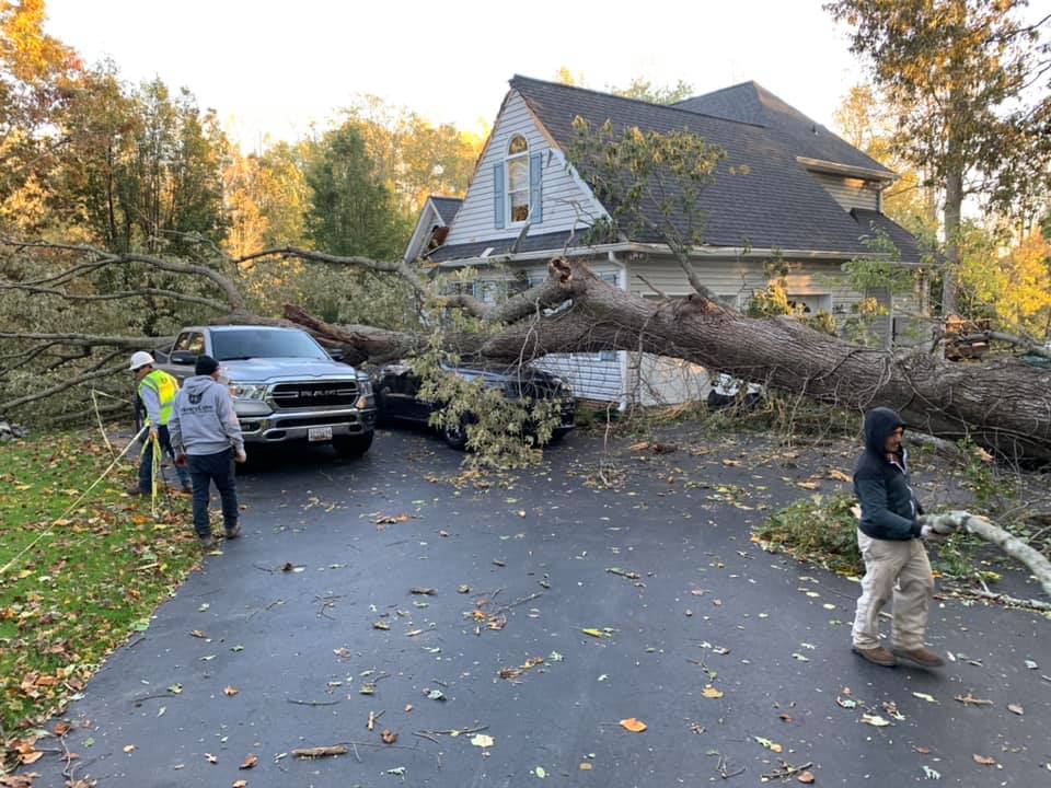 A truck is parked in front of a house with a tree fallen on it.