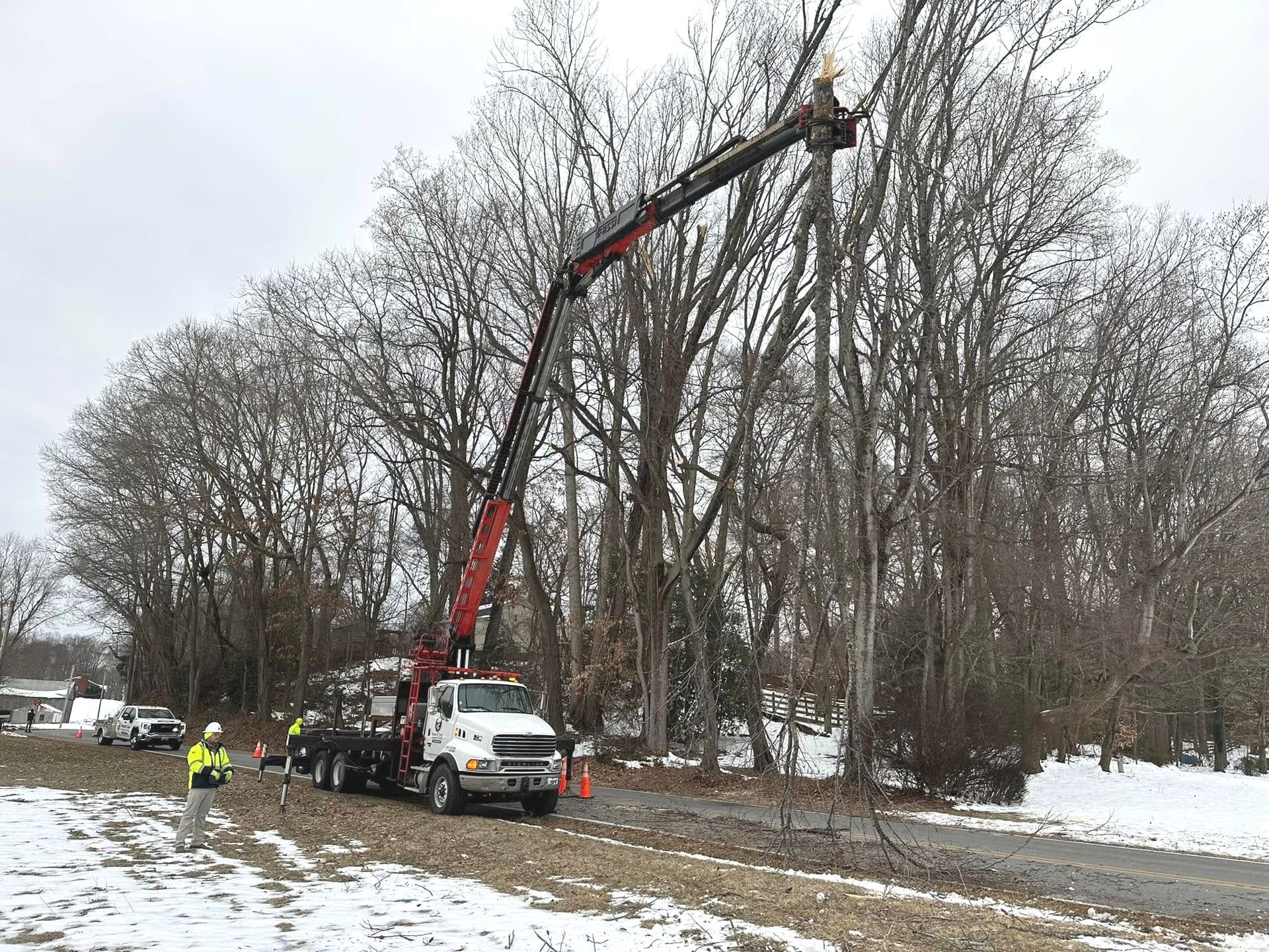A truck with a crane attached to it is cutting a tree.