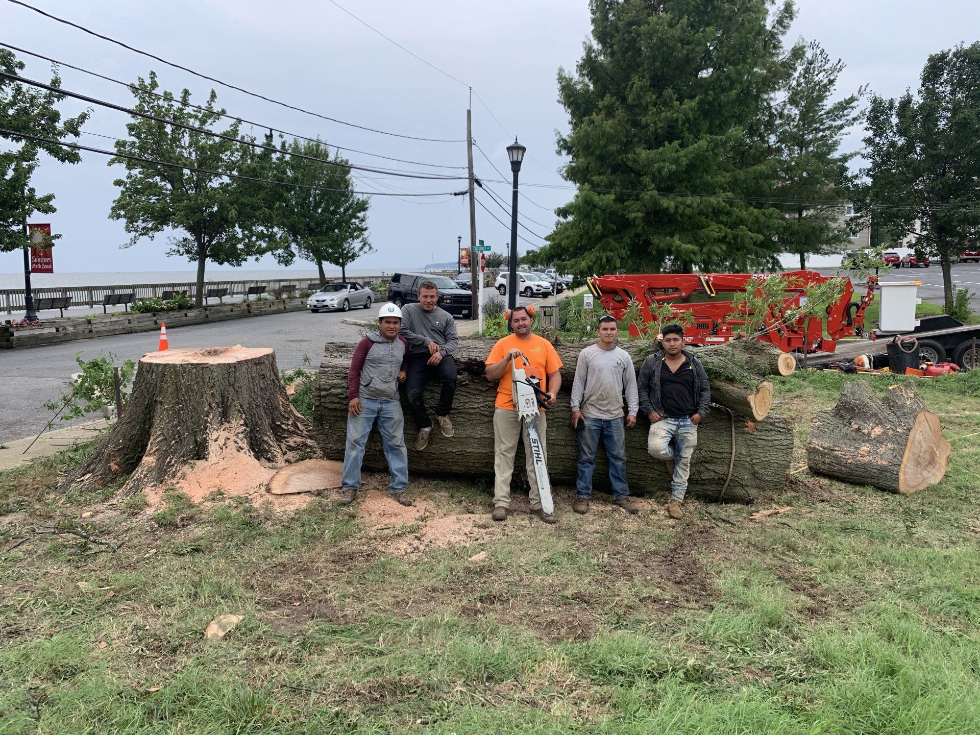 honeycove tree removal north beach maryland