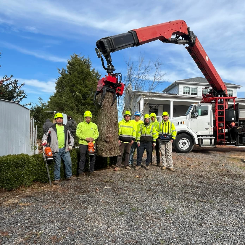 A group of tree service works workers standing in front of a crane