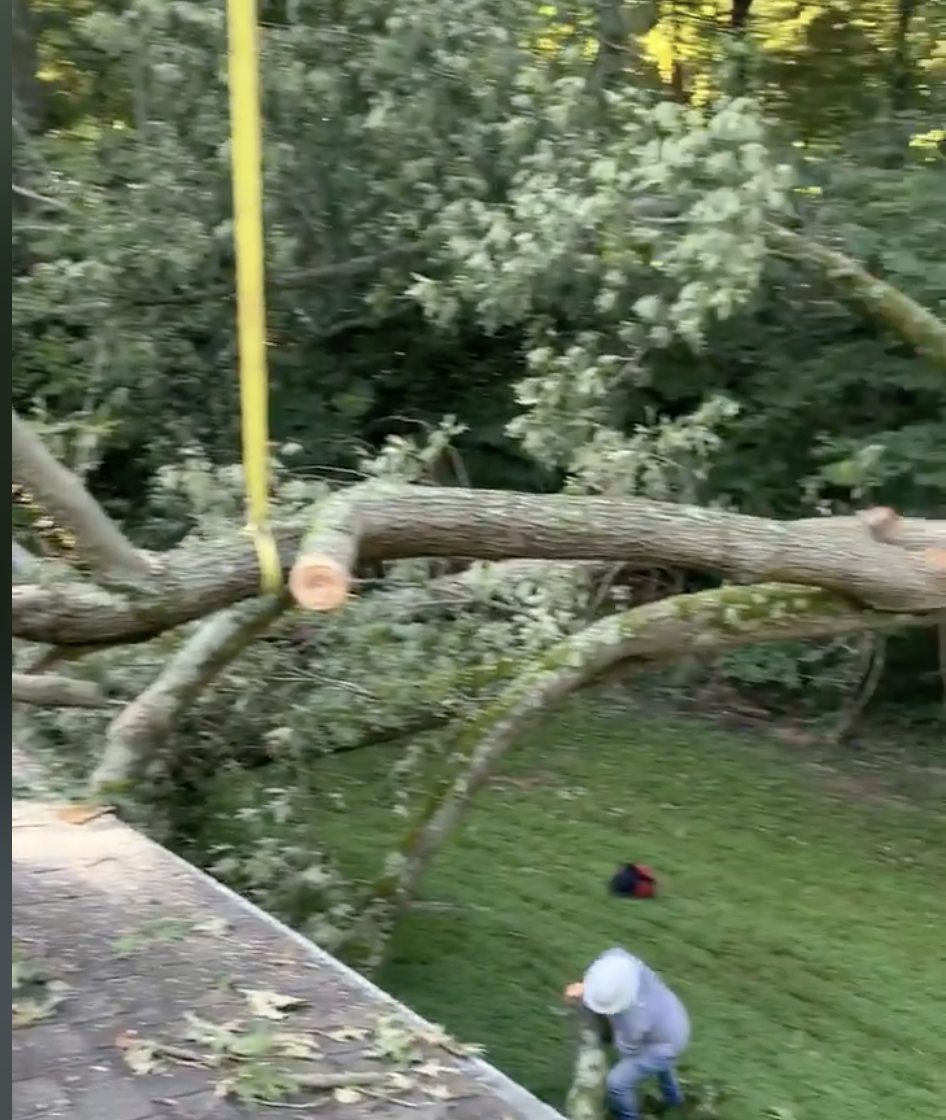 A man is cutting a tree branch with a chainsaw.