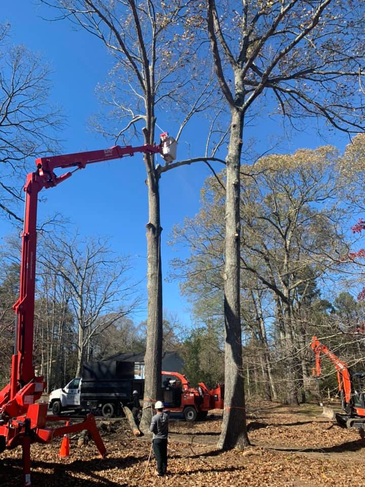 A man is standing next to a red crane cutting a tree.
