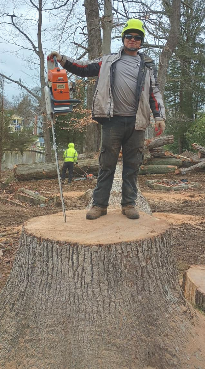A man is standing on a tree stump.