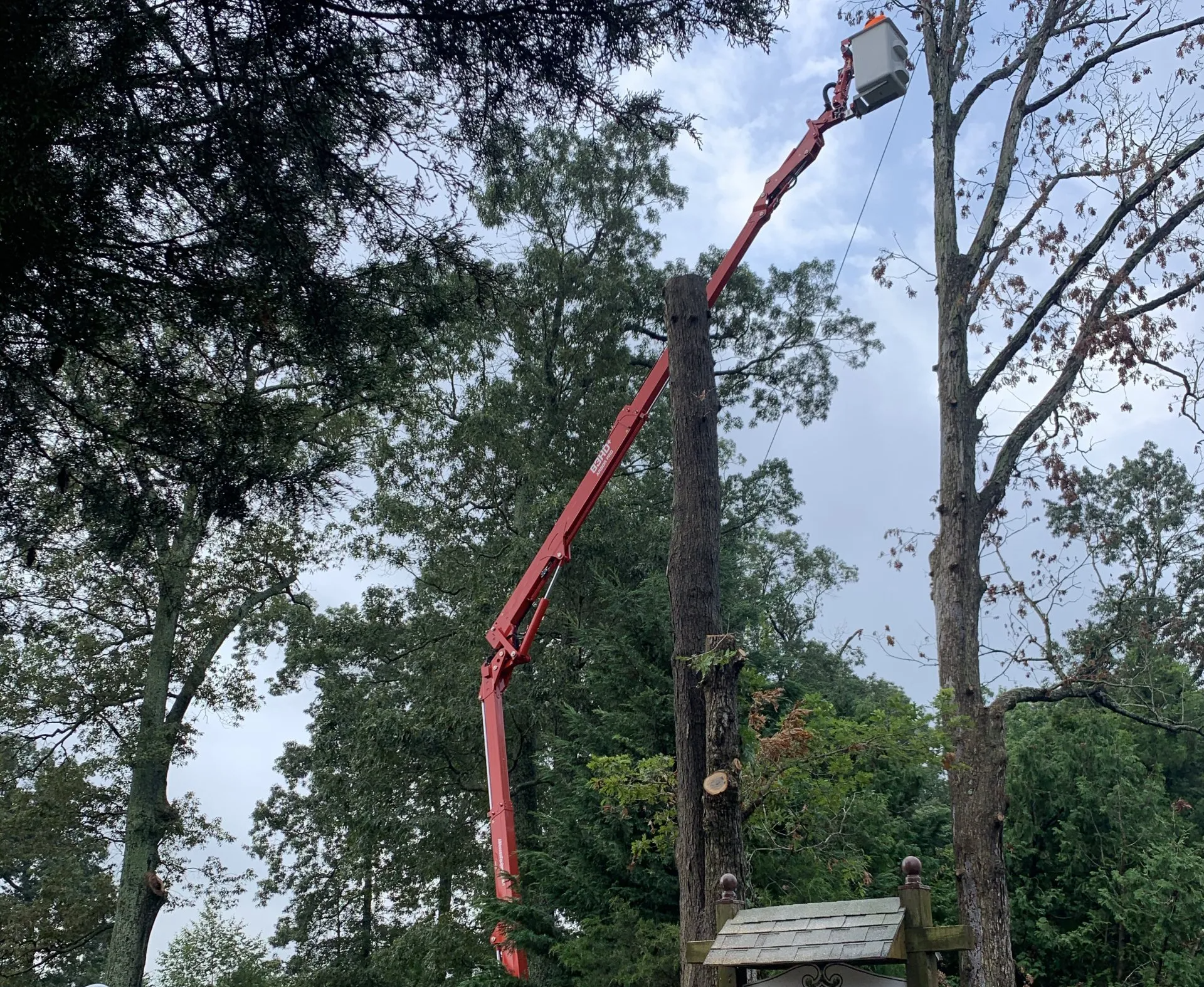 bucket lift tree removal southern md