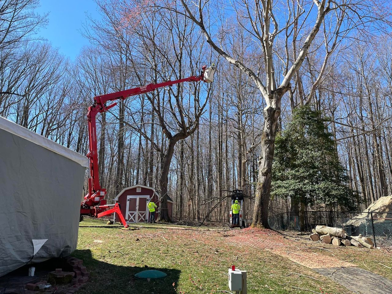 A red crane is cutting a tree in a yard.