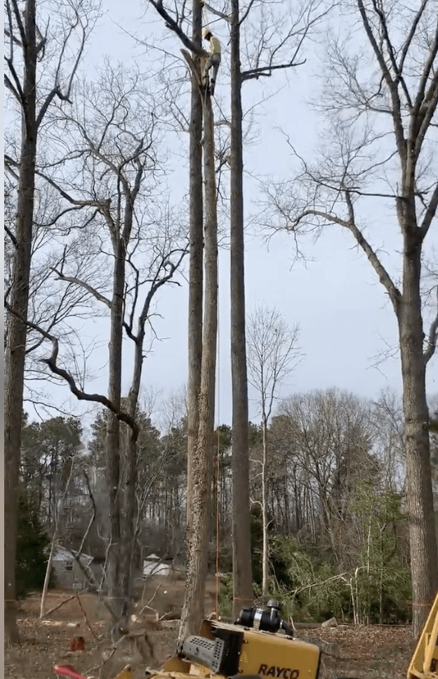 property reclamation-Maryland