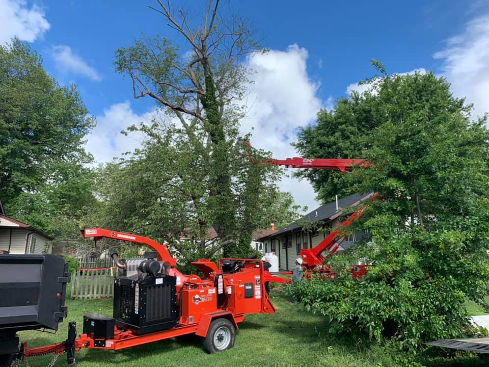 A tree chipper is cutting a tree in front of a house.