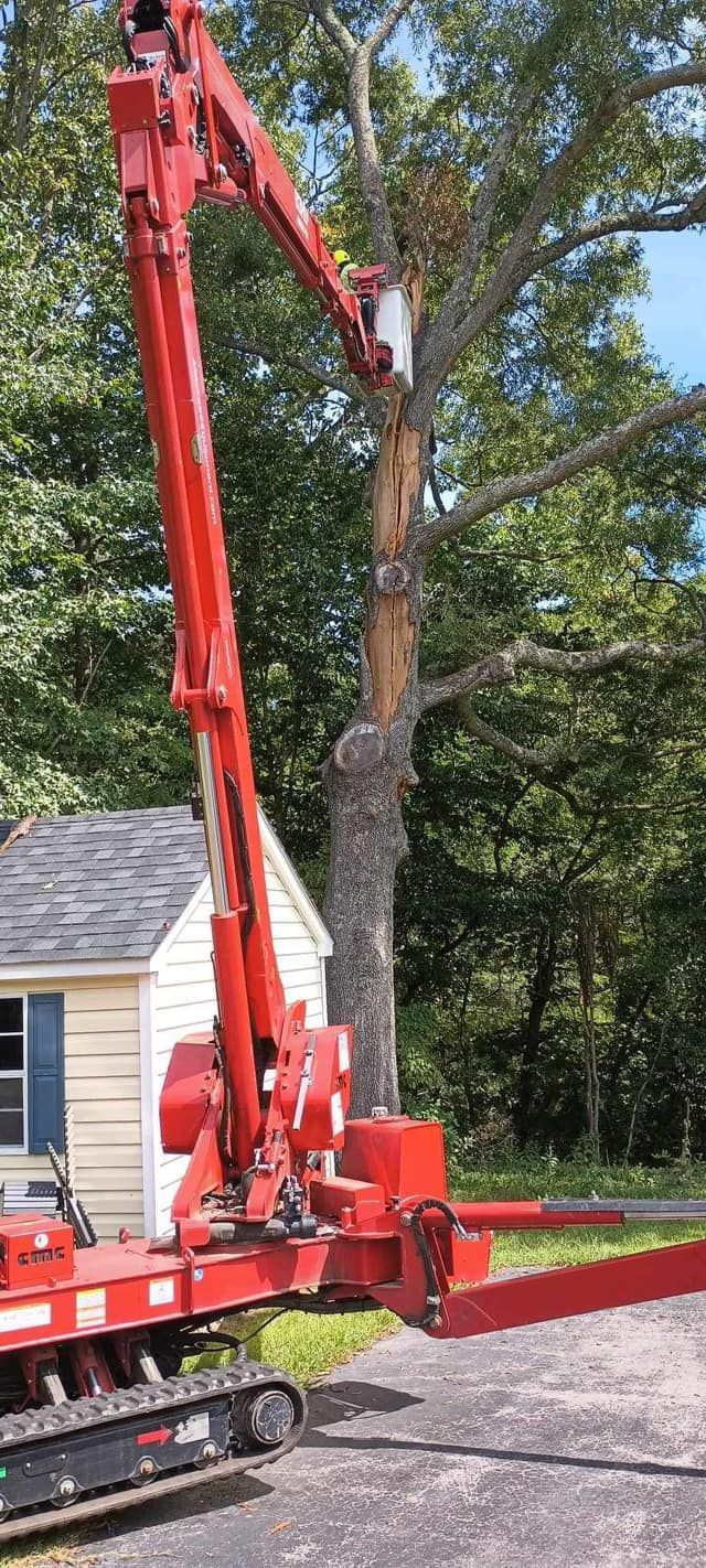 A red crane is cutting a tree in front of a house.