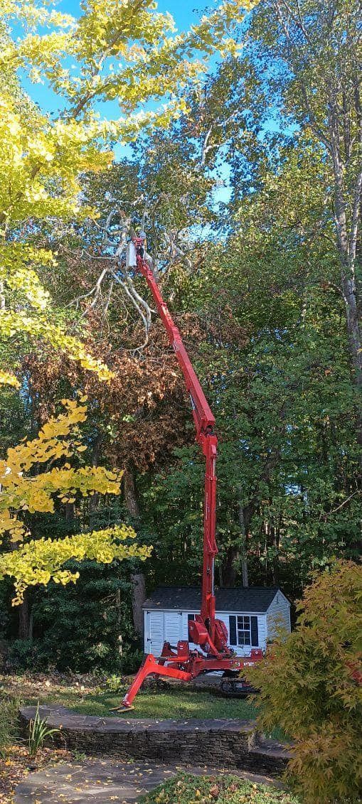 A red crane is cutting a tree in front of a house.