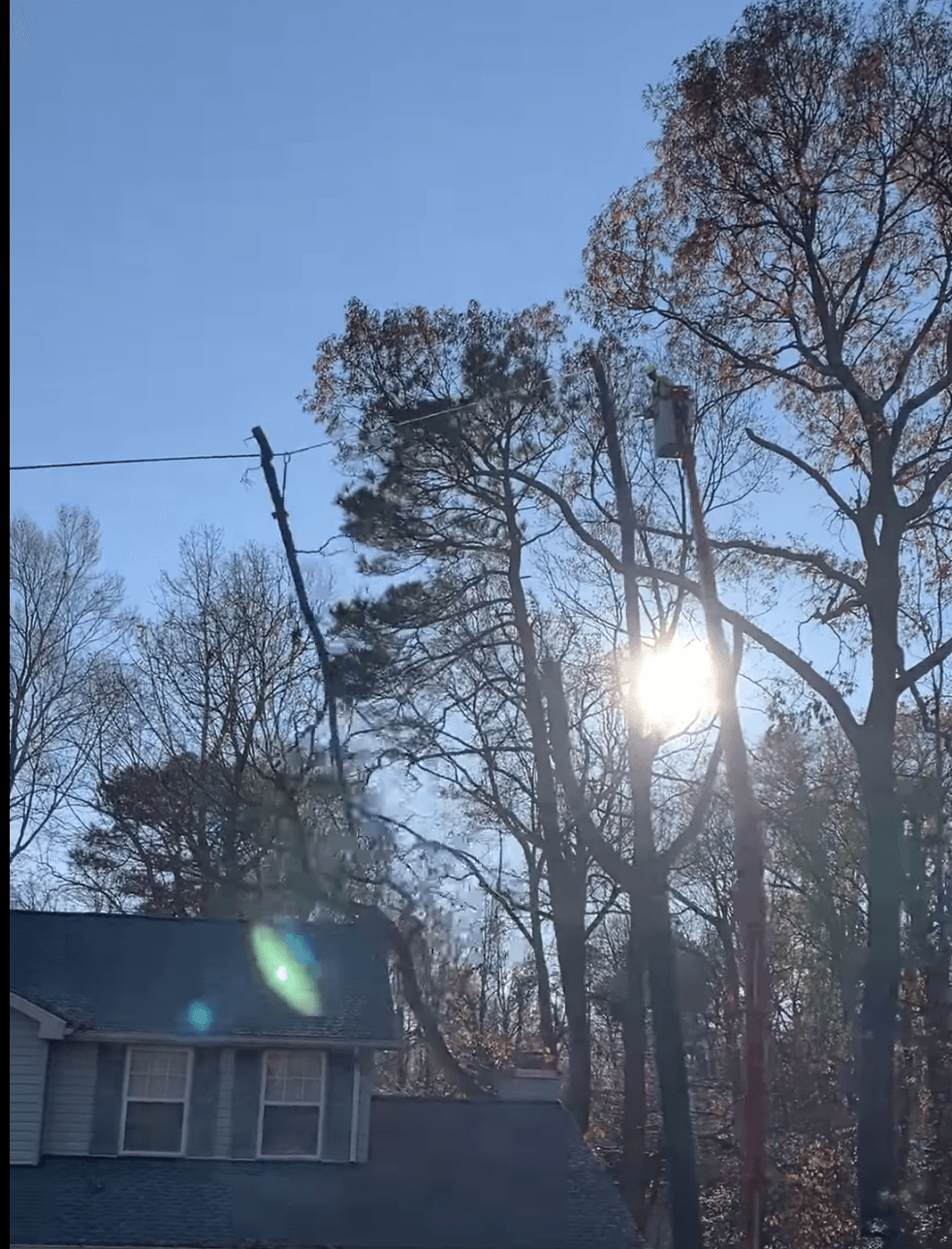 The sun is shining through the trees in front of a house