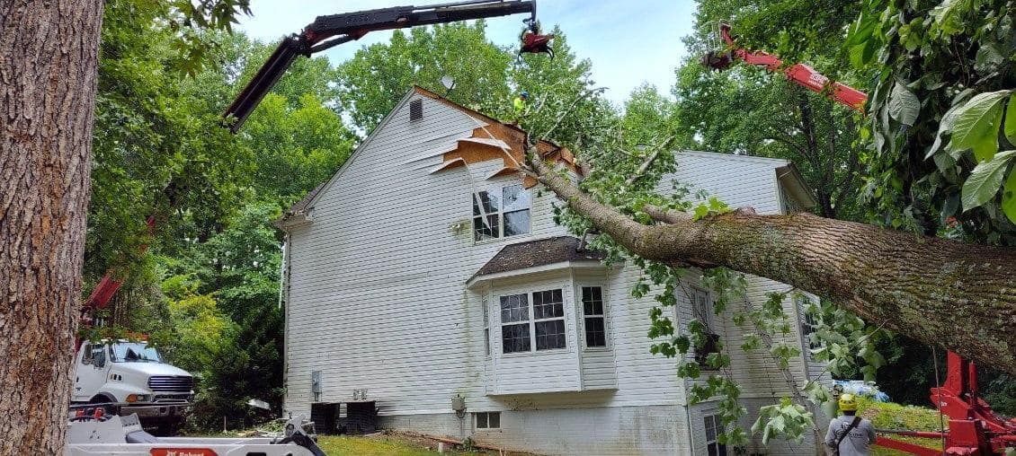 A crane is cutting a tree in front of a house.