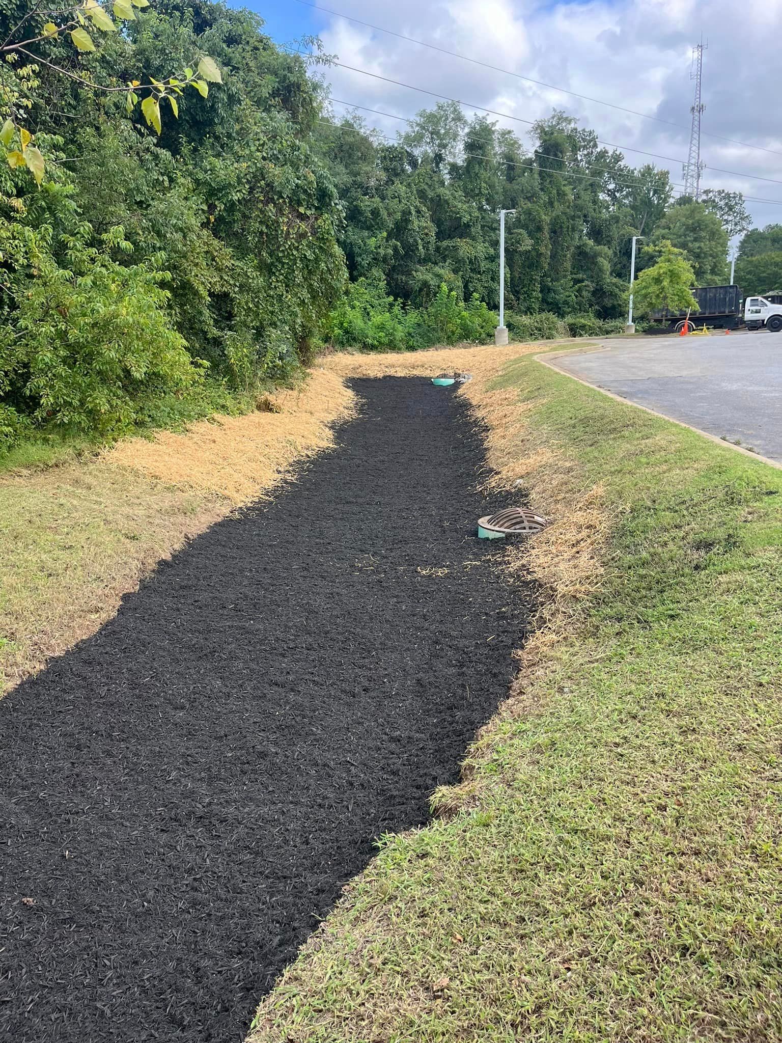 A path going through a grassy area next to a road.