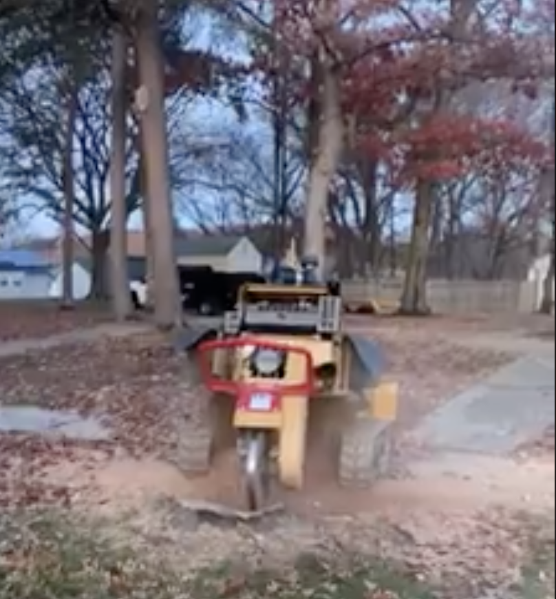 stump griding-southern md