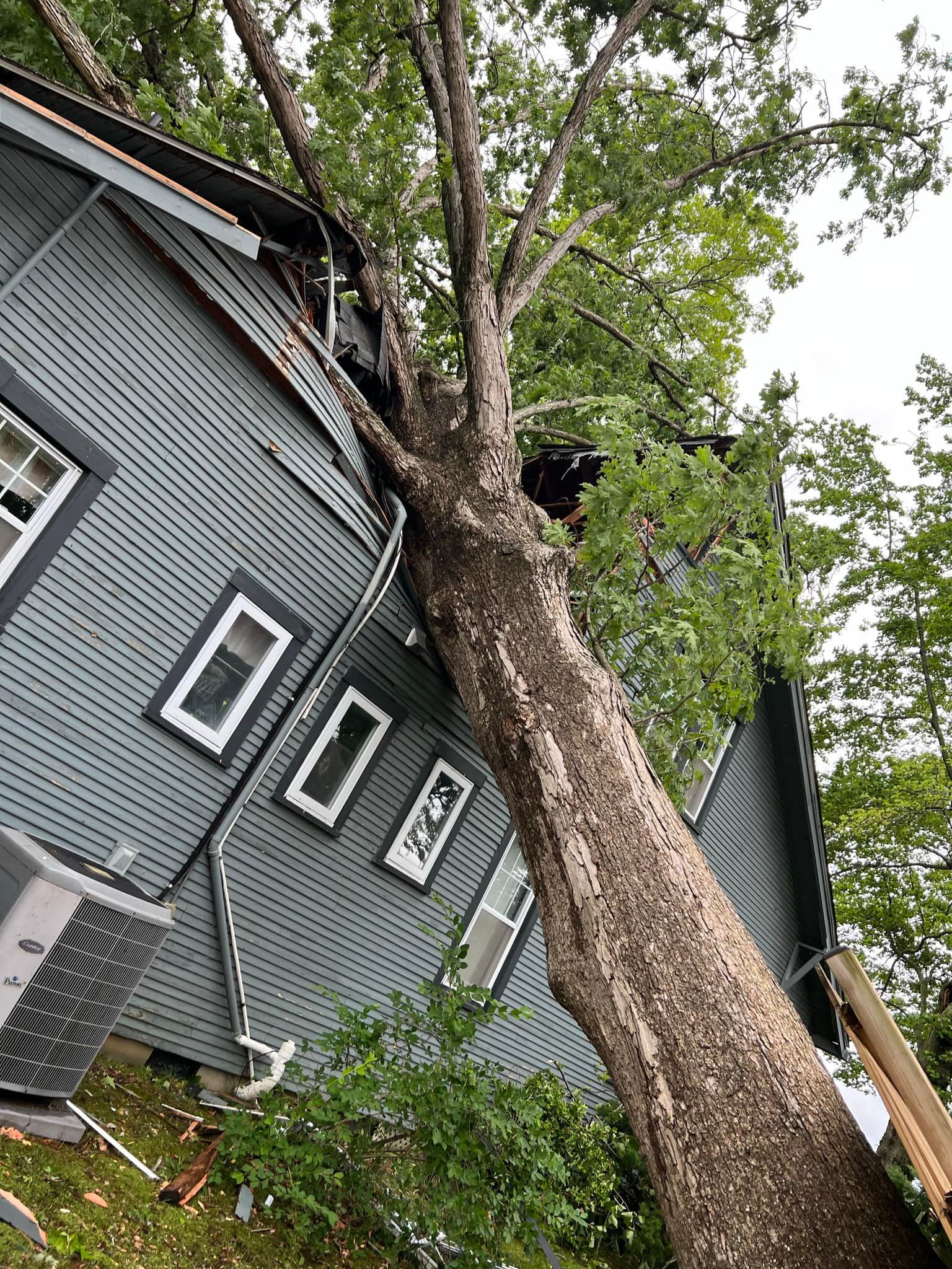 tree on house, storm damage cleanup