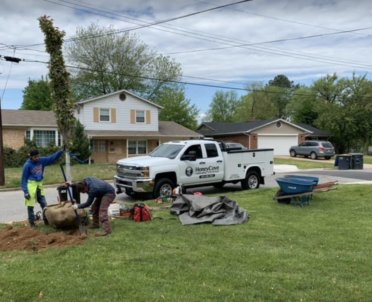 planting trees in southern maryland