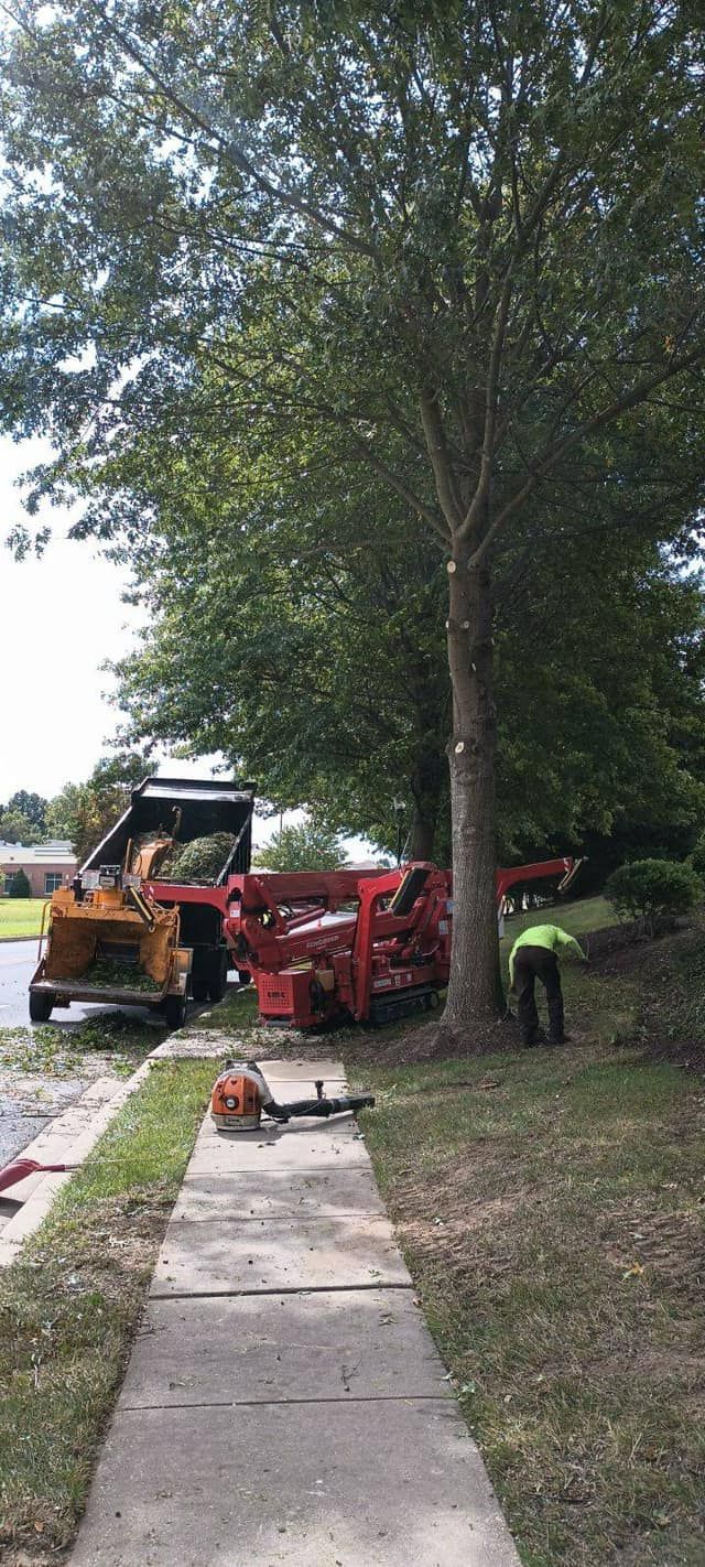 A man is standing on a sidewalk next to a tree chipper.