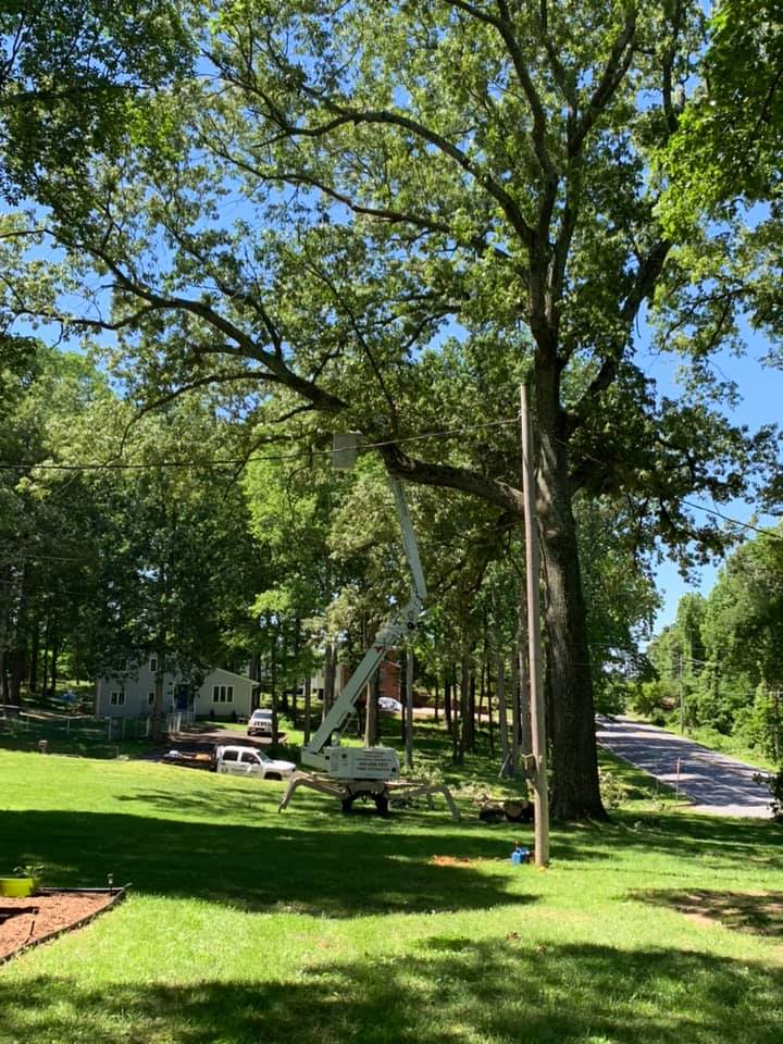 A crane is cutting a tree in a yard.