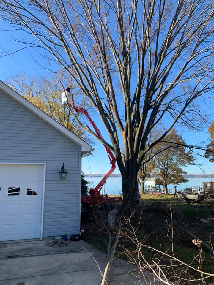 A man is cutting a tree in front of a garage.