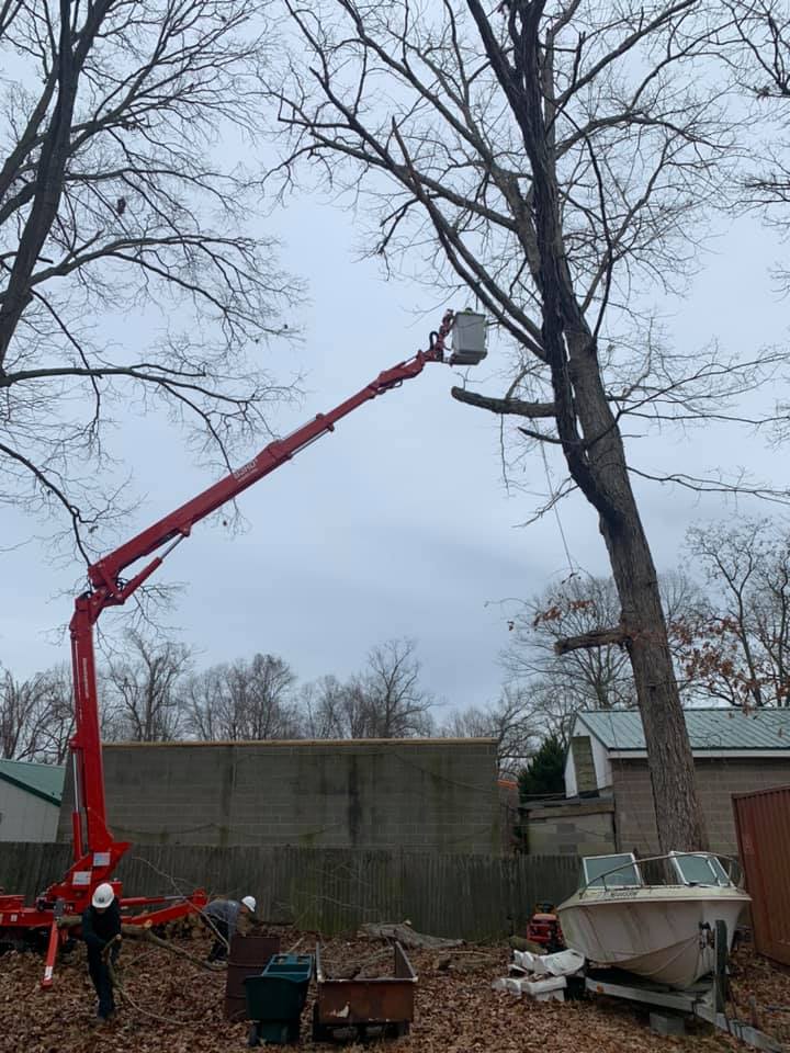 large oak tree limb trimming-southern md